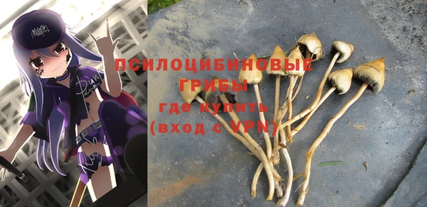 хмурый Россошь