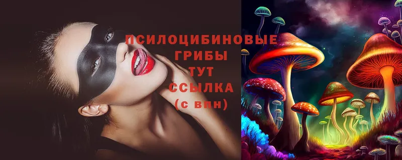 Псилоцибиновые грибы Psilocybe  Чебоксары 