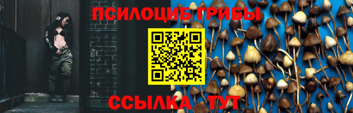 Галлюциногенные грибы GOLDEN TEACHER Чебоксары